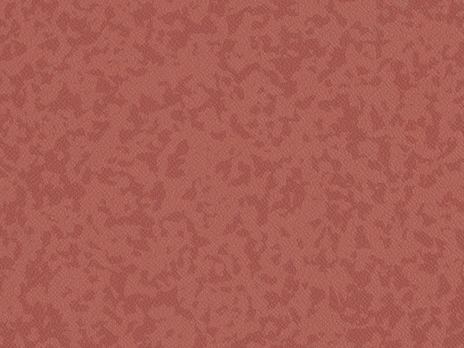 Taralay Premium Compact