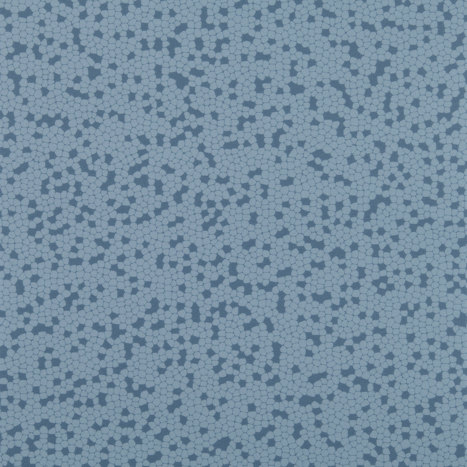 Taralay Impression Compact