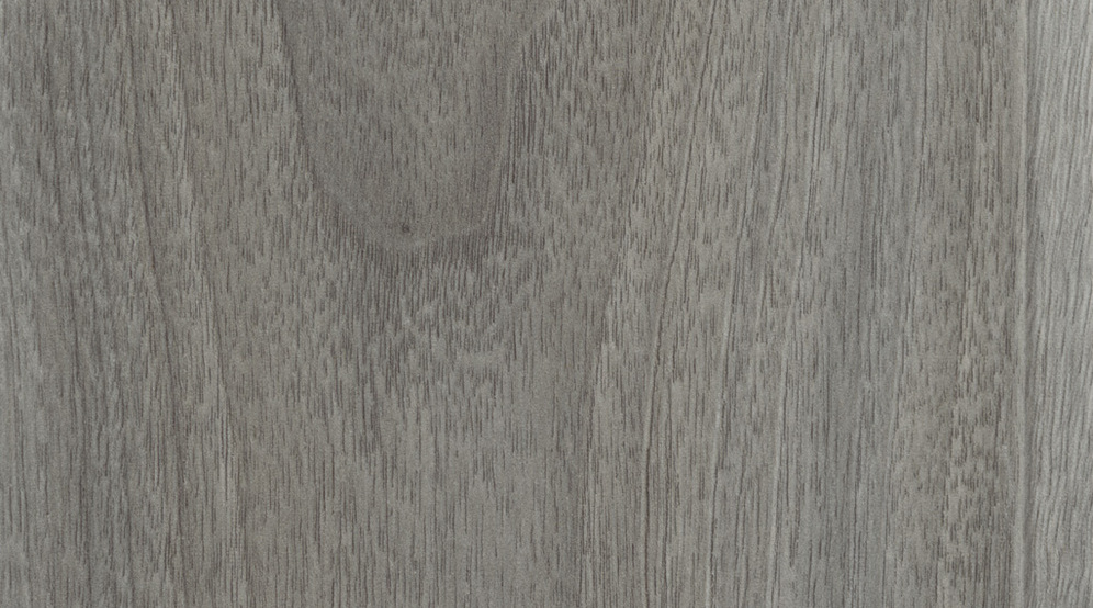 Taralay Impression Compact