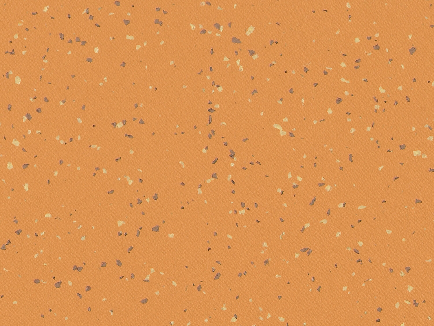 Taralay Premium Compact