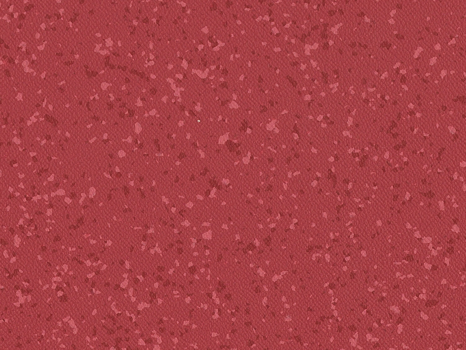 Taralay Premium Compact
