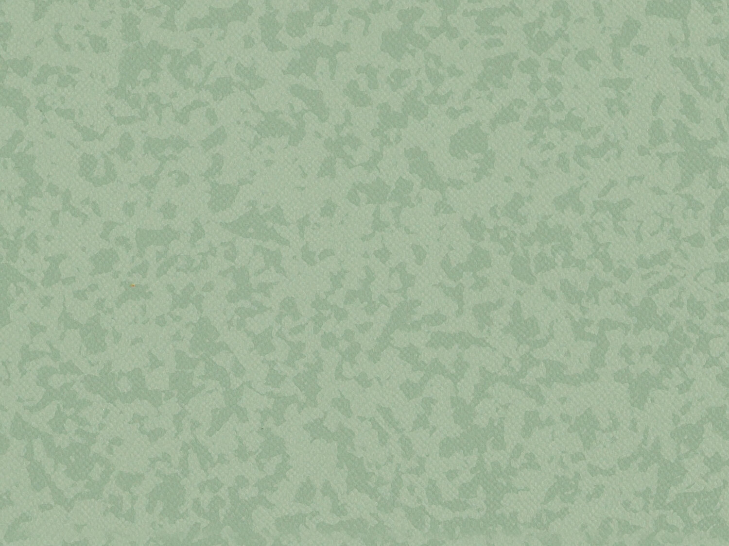 Taralay Premium Compact