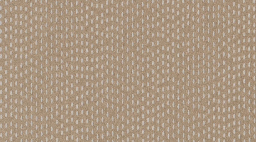 Taralay Impression Compact