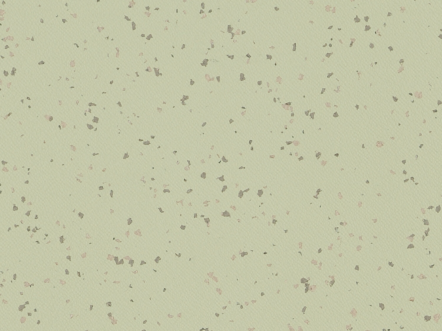 Taralay Premium Compact