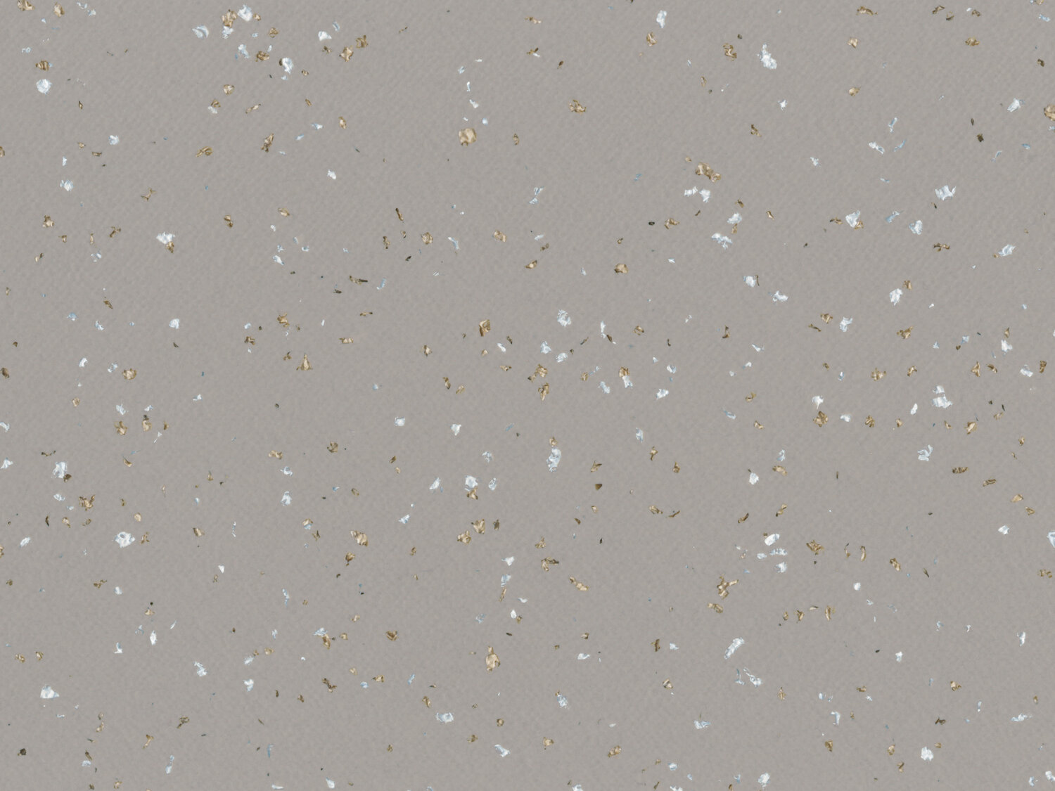 Taralay Premium Compact