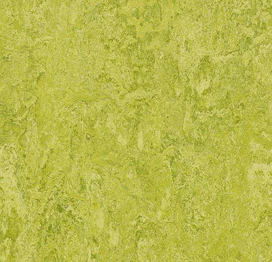 Натуральный линолеум Marmoleum Authentic