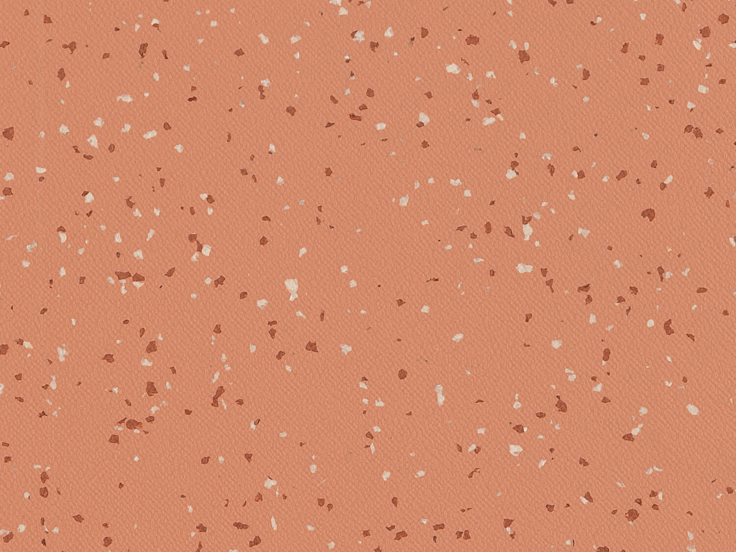Taralay Premium Compact