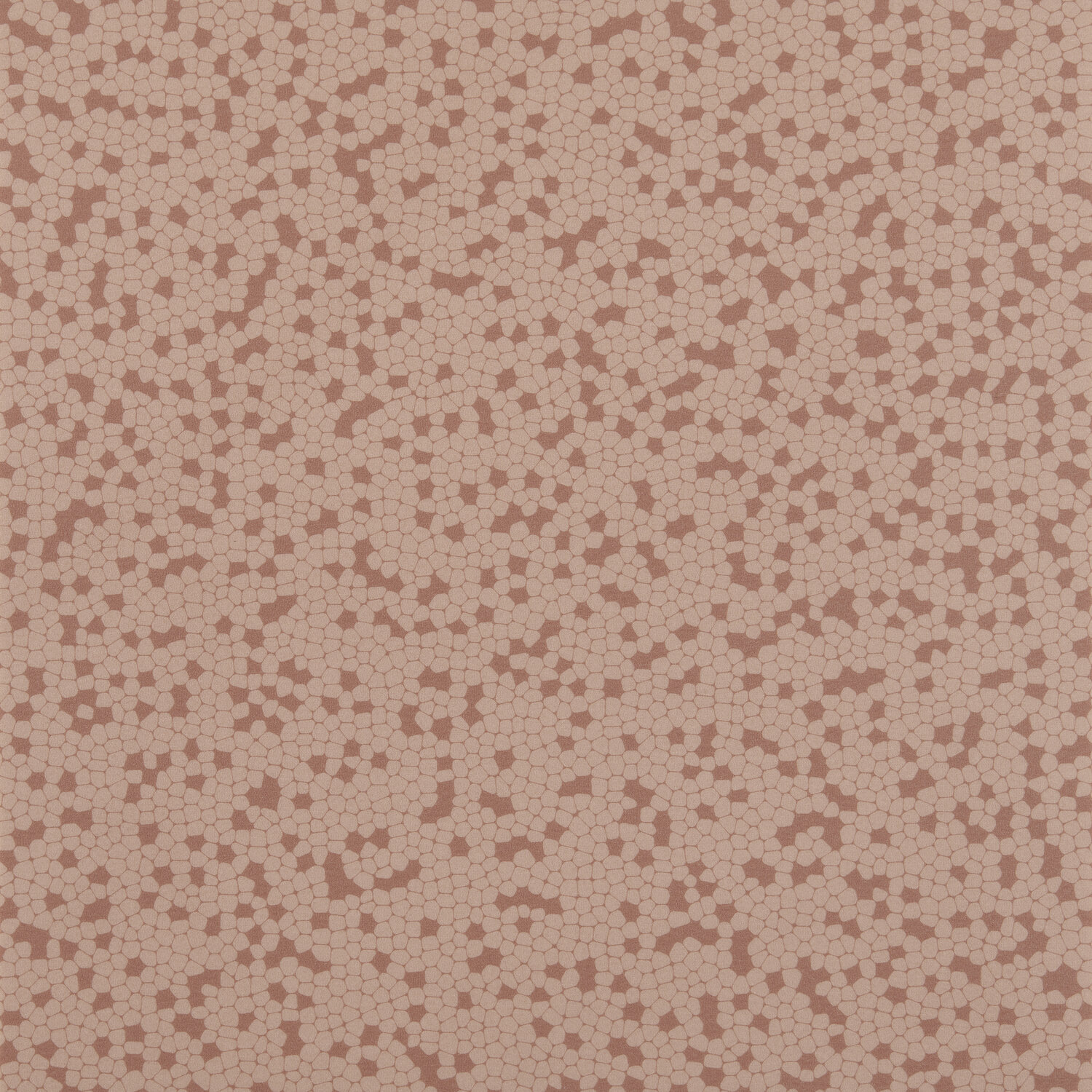 Taralay Impression Compact