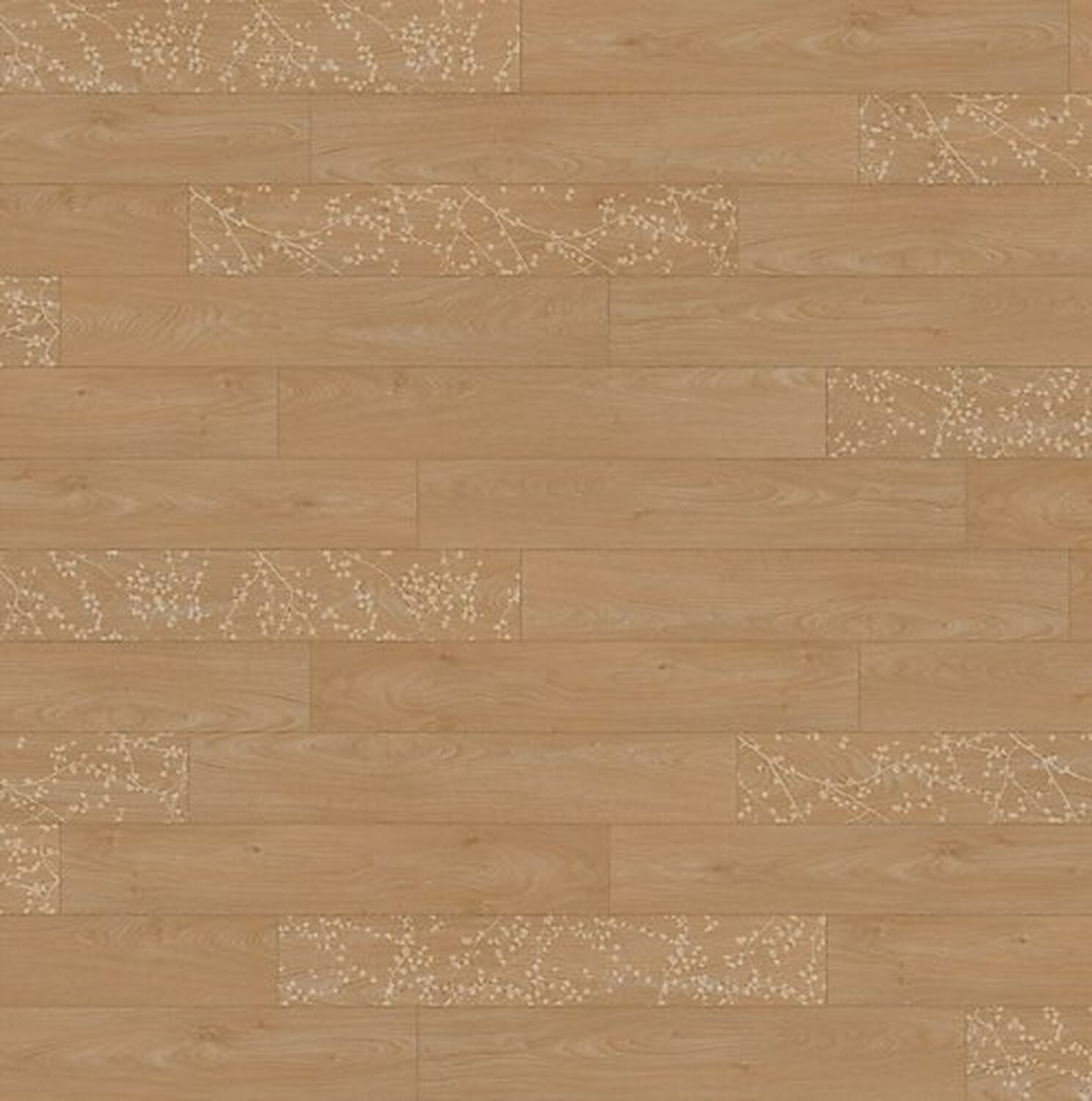 Taralay Impression Compact