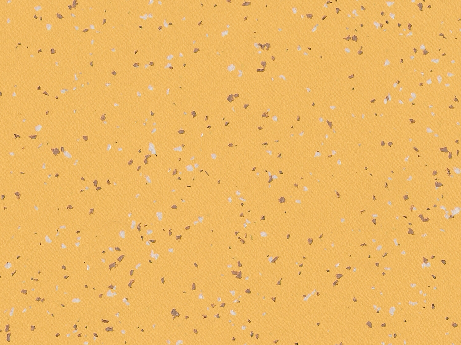 Taralay Premium Compact