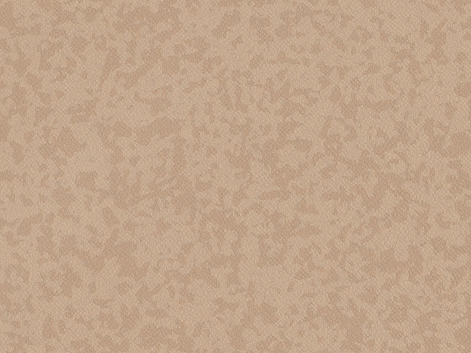 Taralay Premium Compact