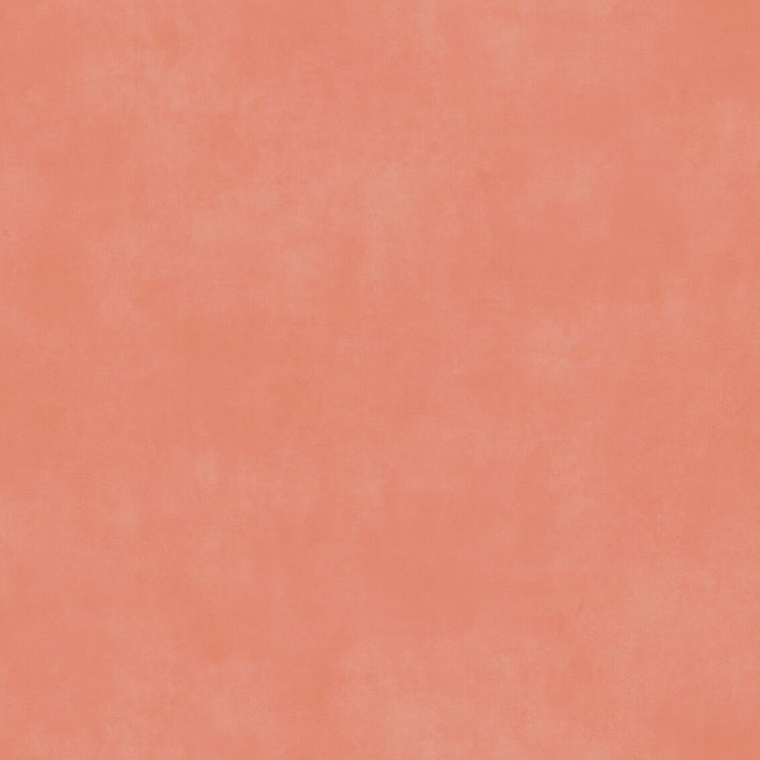 Taralay Initial Compact