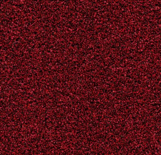 Coral Bright