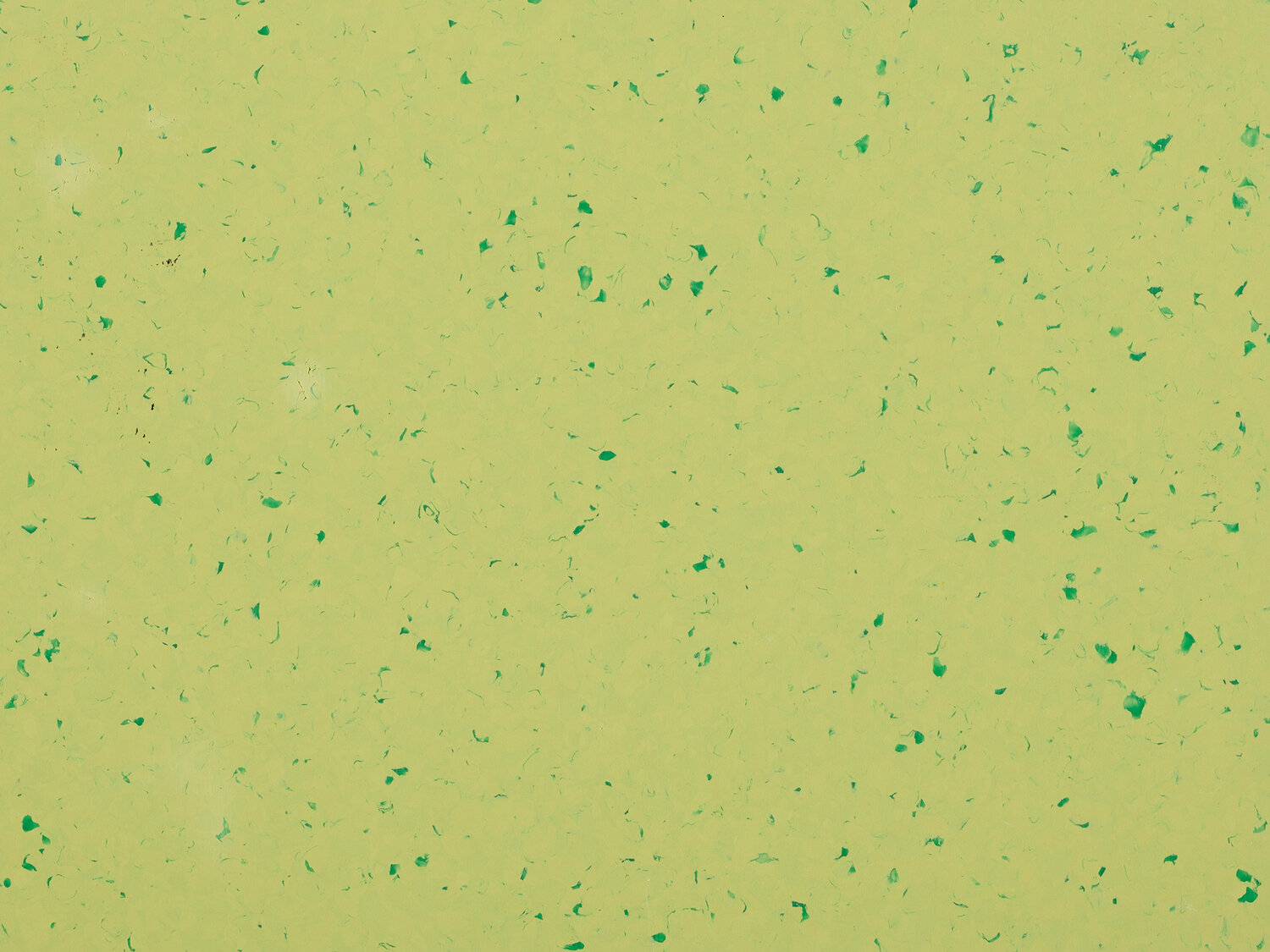 Mipolam Biocontrol Clean