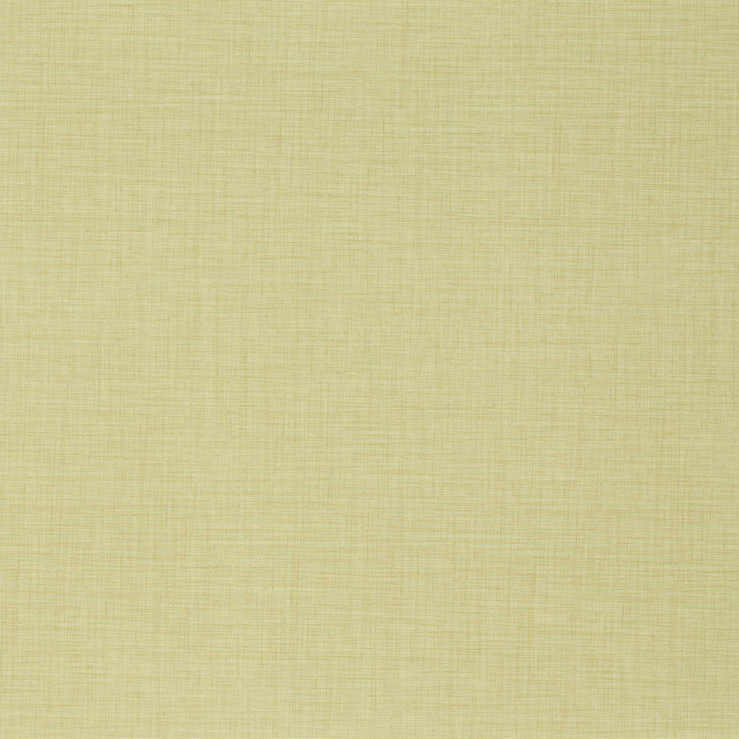 Taralay Impression Compact