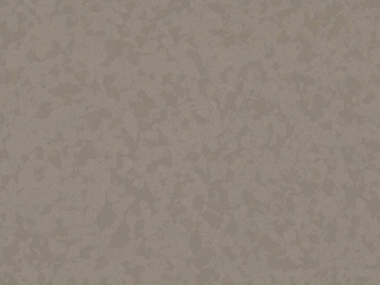 Taralay Premium Compact