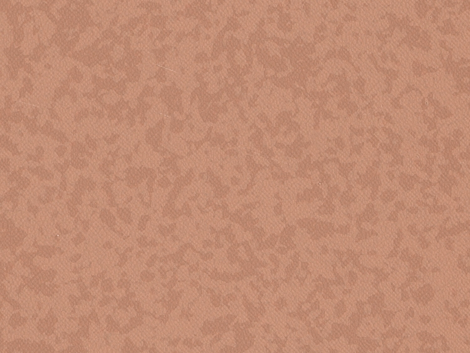 Taralay Premium Compact