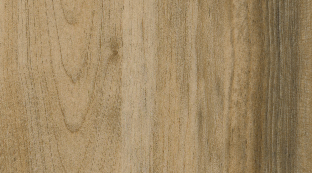 Taralay Impression Compact