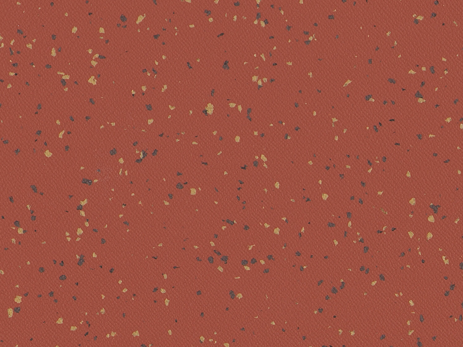 Taralay Premium Compact