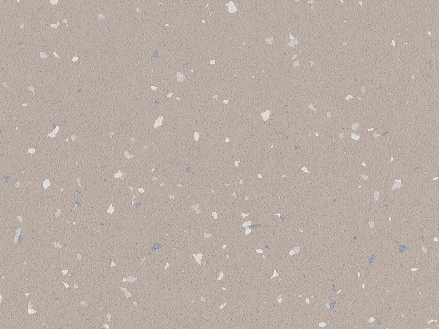 Taralay Premium Compact