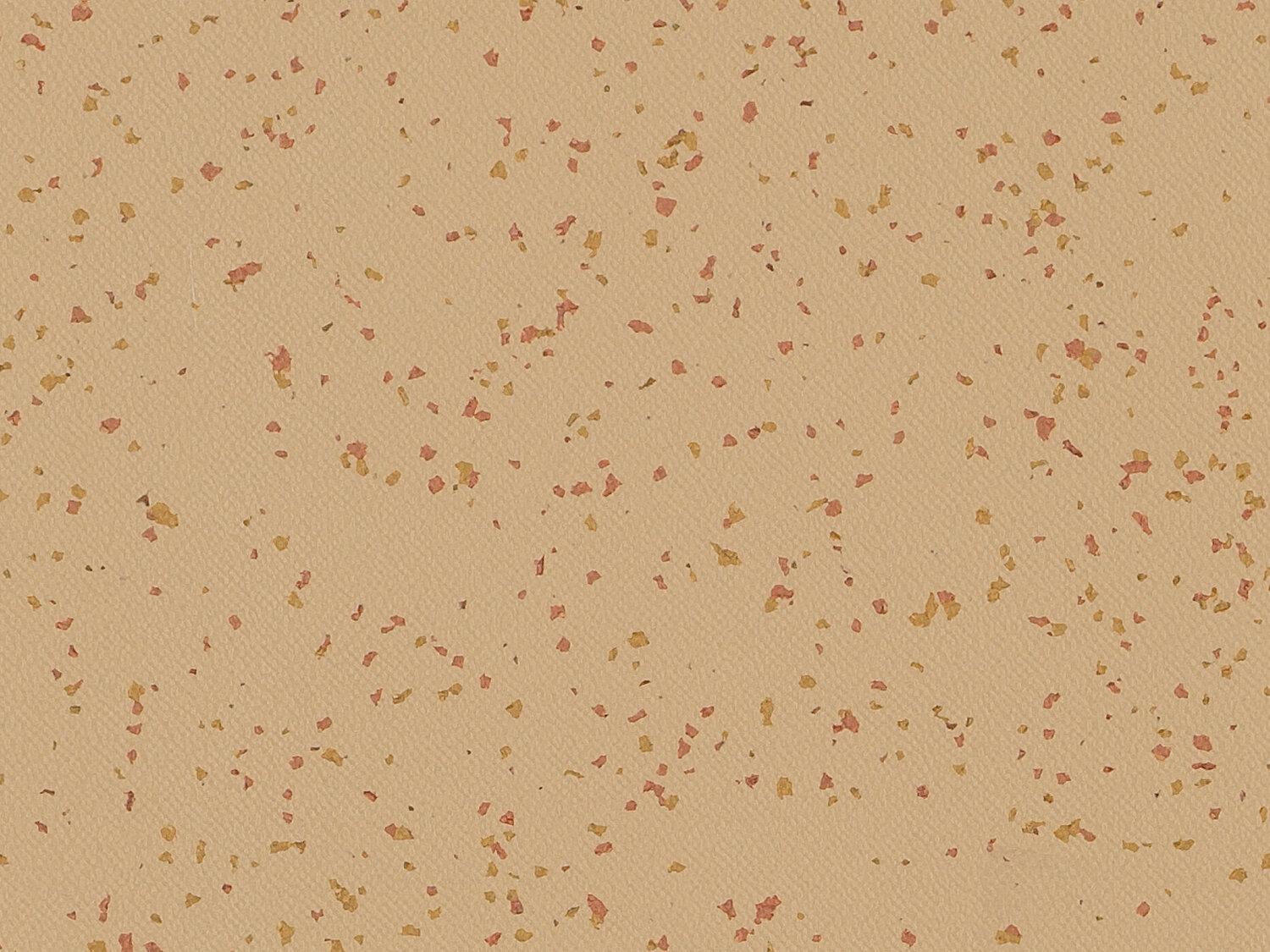 Taralay Premium Compact