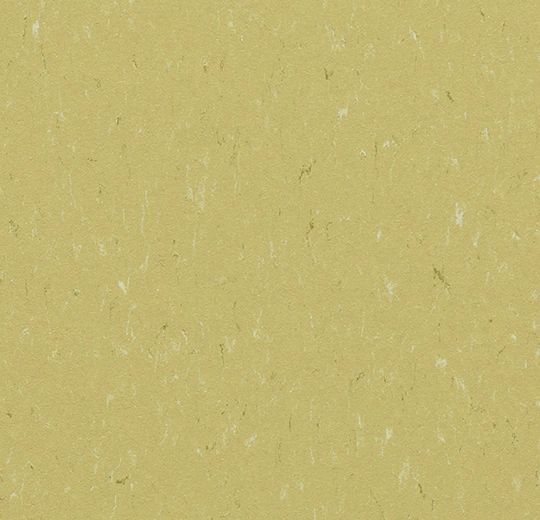 Marmoleum Piano