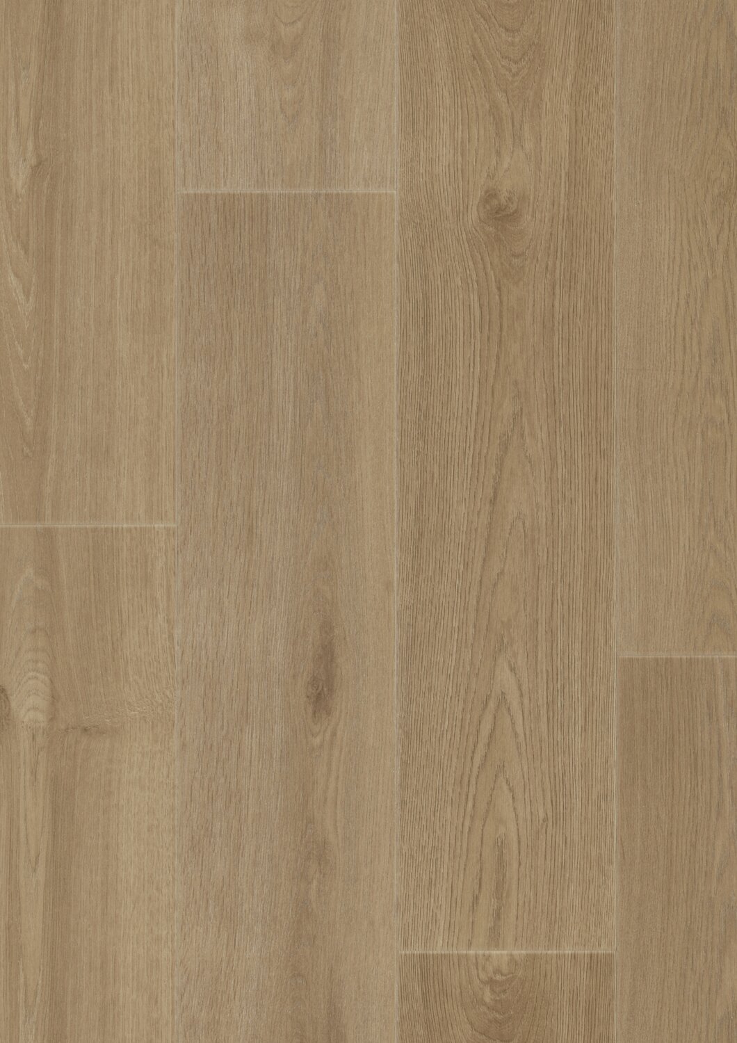 Taralay Initial Compact