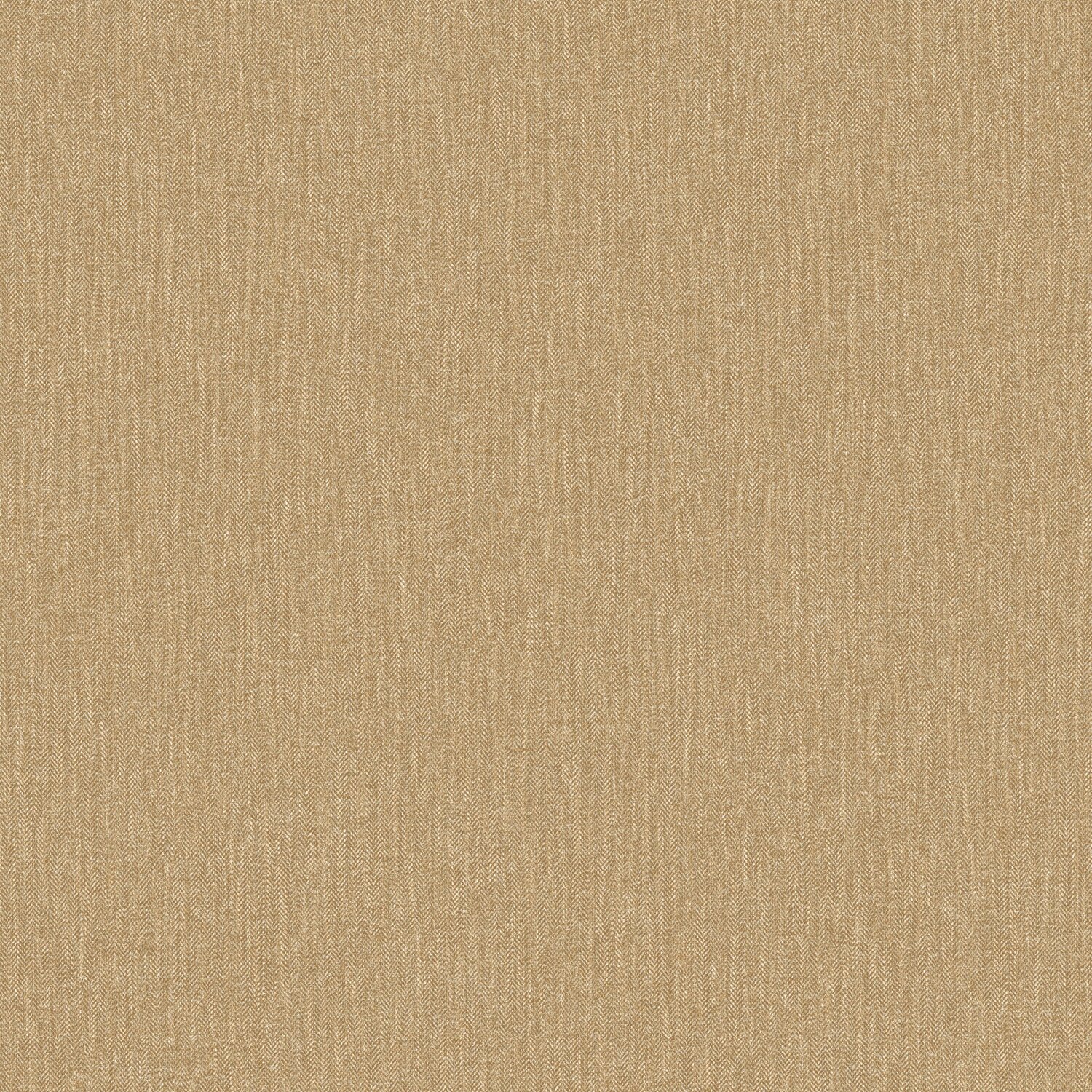 Taralay Initial Compact
