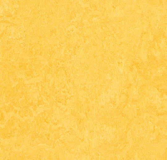 Marmoleum Fresco