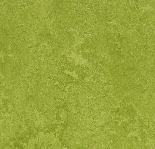 Marmoleum Fresco