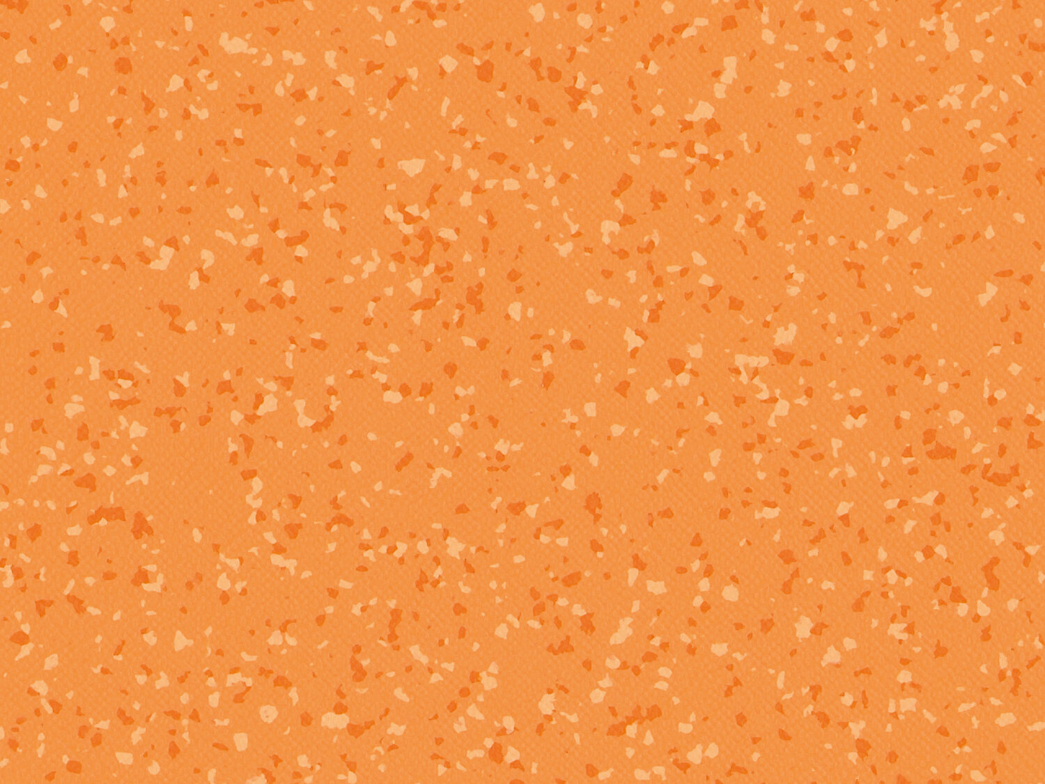 Taralay Premium Compact