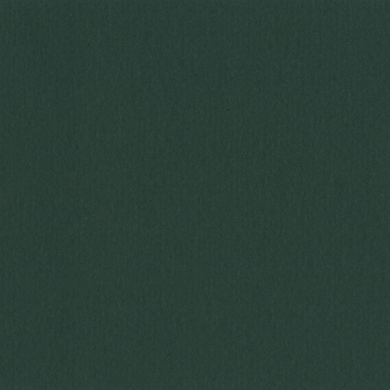 Натуральный линолеум Uni Walton 2.5