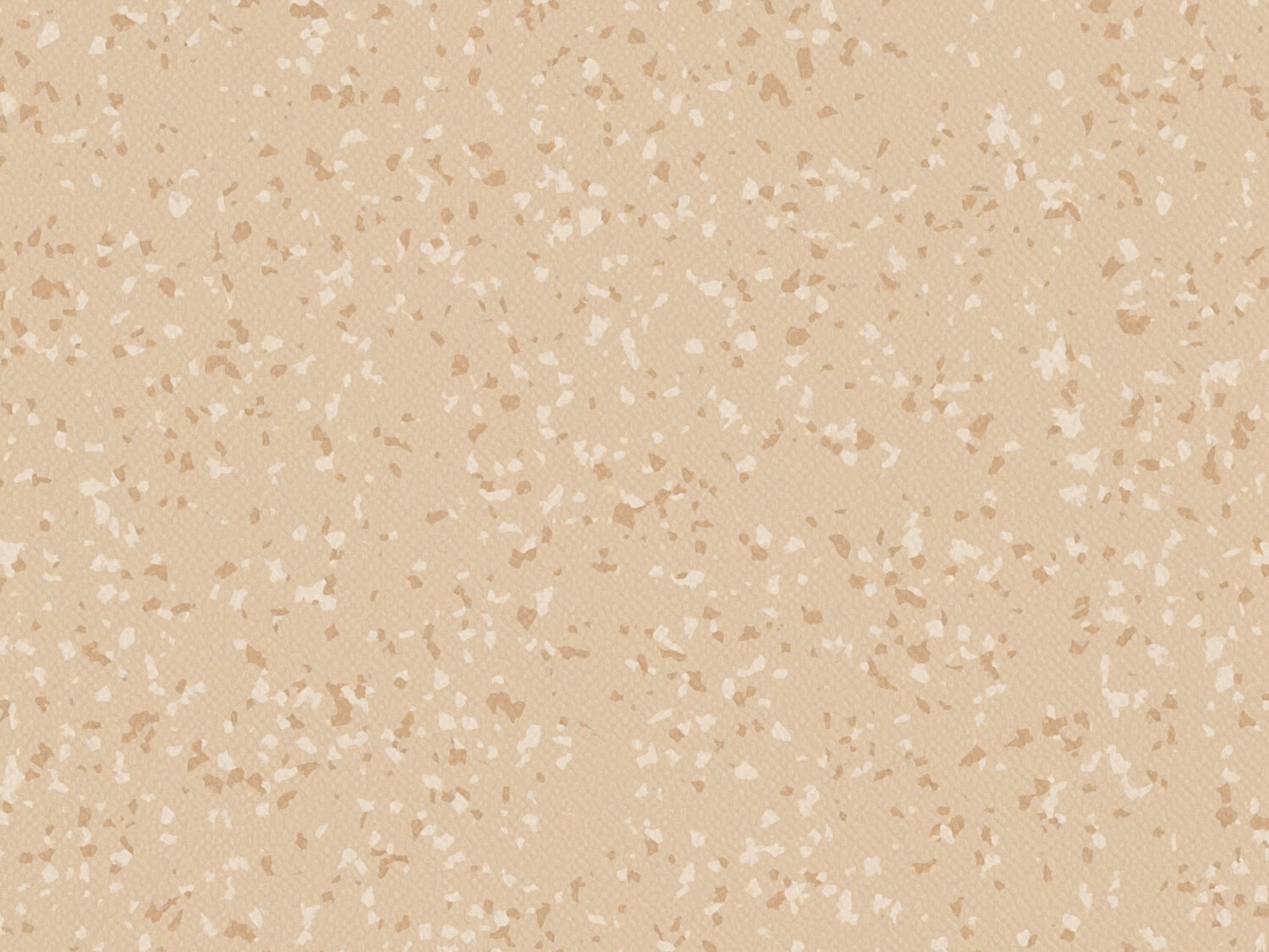 Taralay Premium Acoustic
