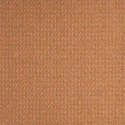 Ковролин Balsan Baccarat ABRICOT- -450 жёлтый купить в Москве с доставкой