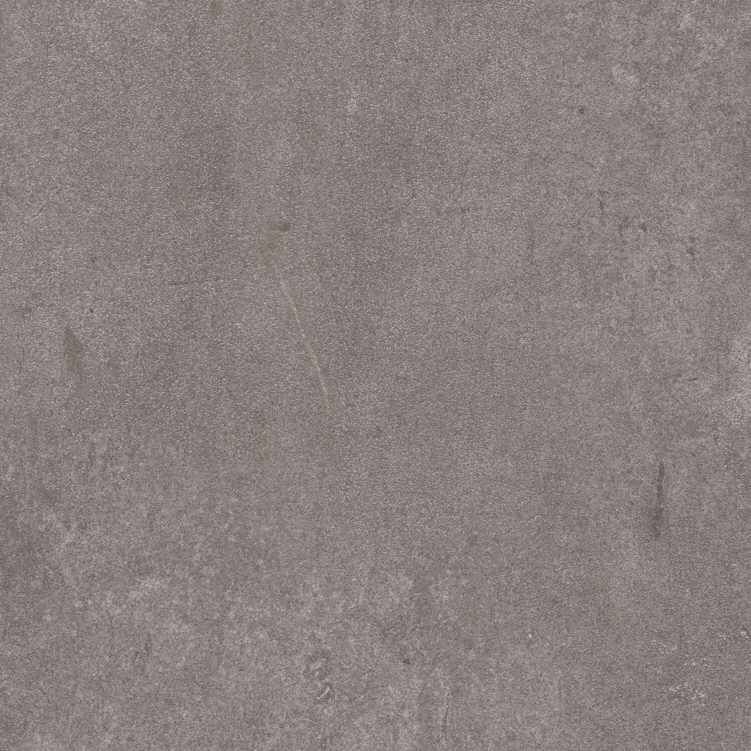 Taralay Impression Compact