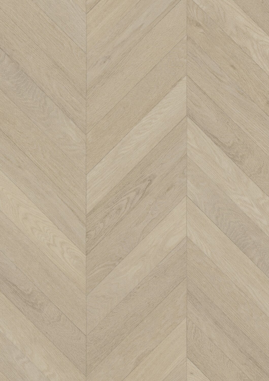 Taralay Initial Compact