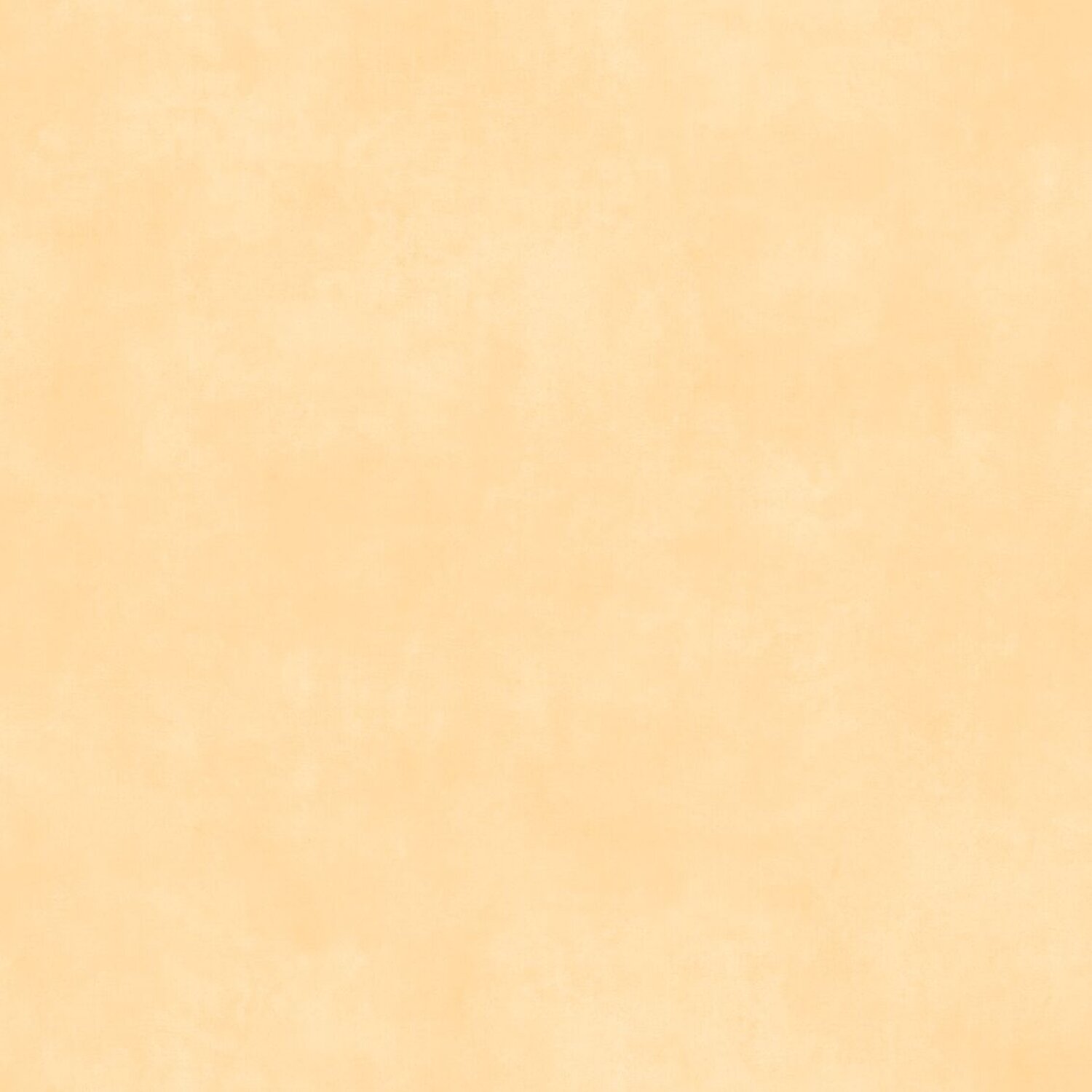Taralay Initial Compact