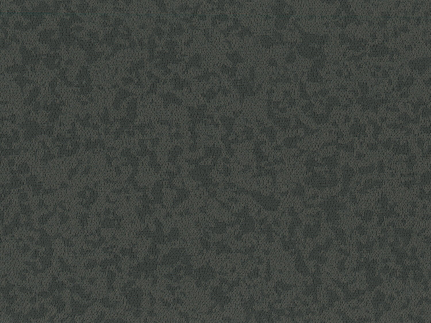 Taralay Premium Compact