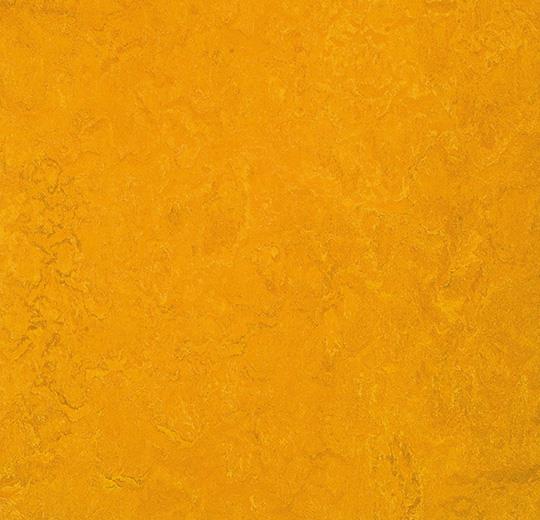 Marmoleum Fresco