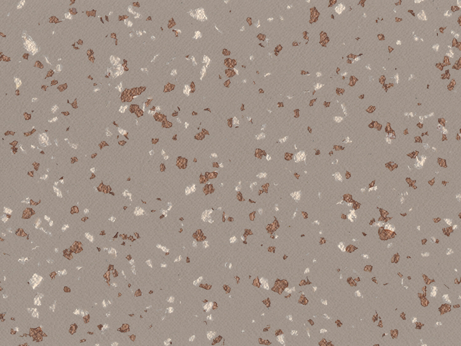 Taralay Premium Compact