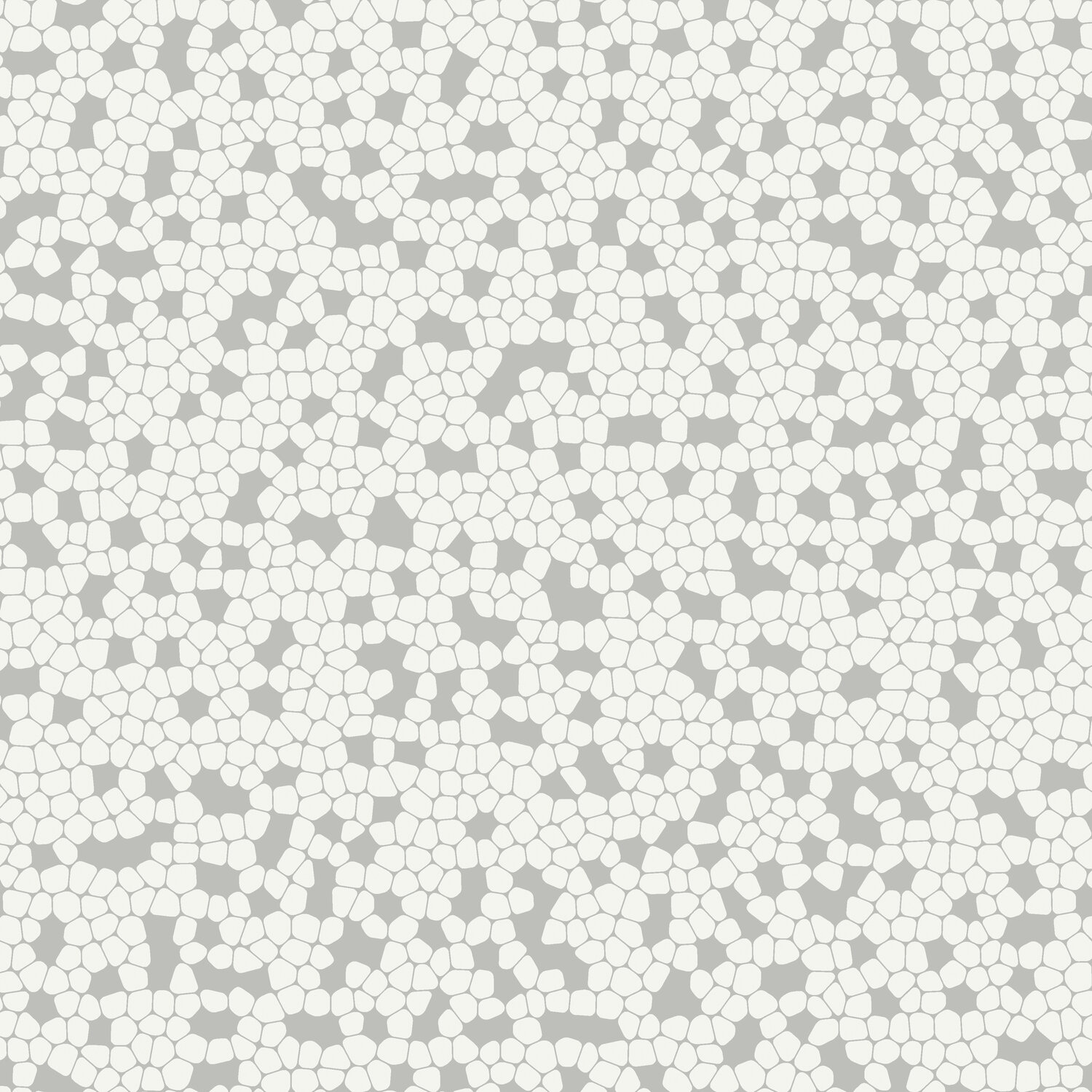 Taralay Impression Compact
