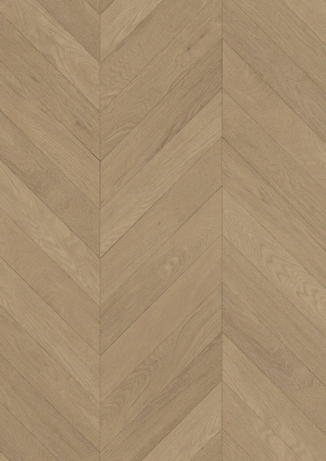 Taralay Initial Compact