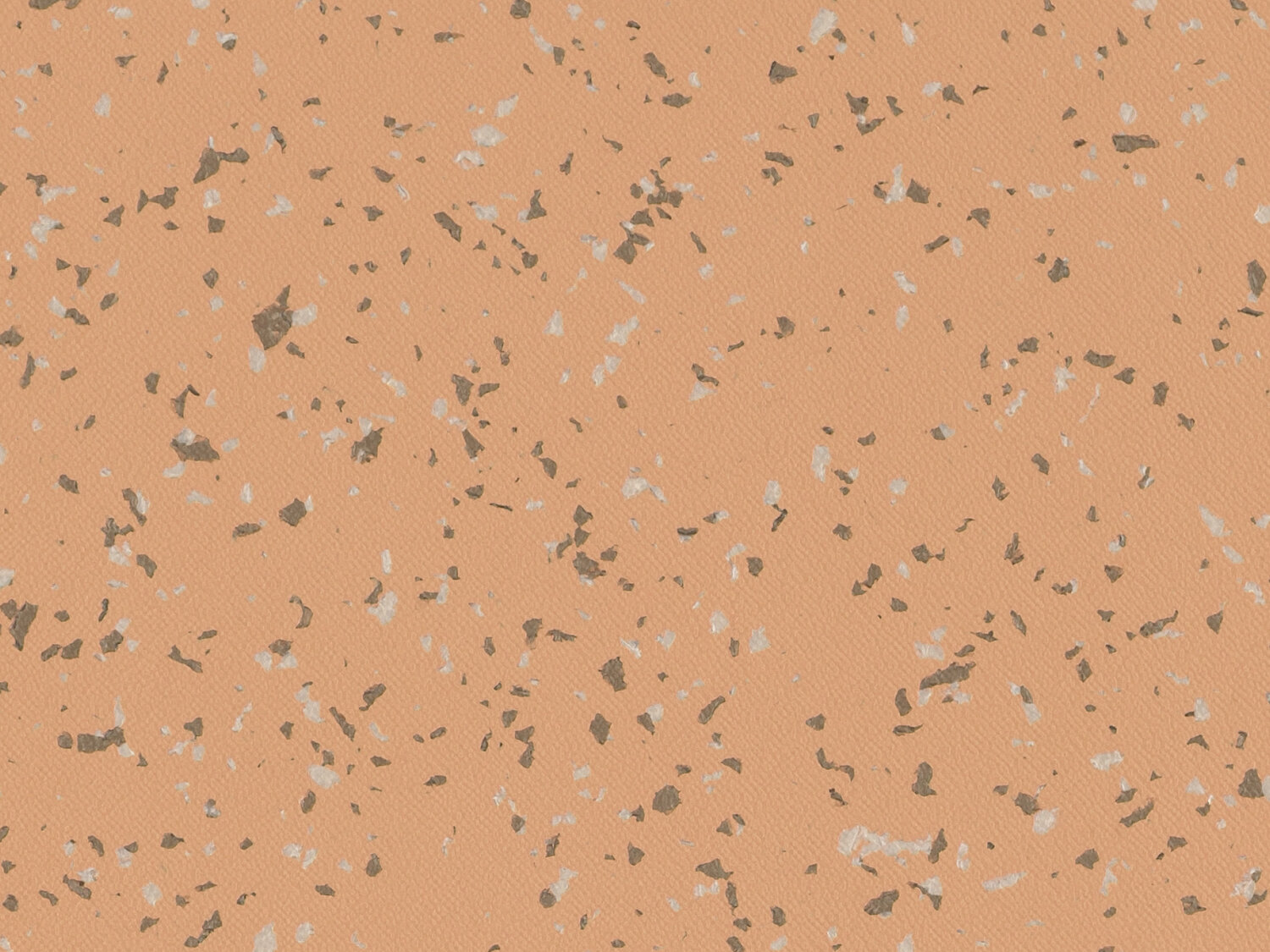 Taralay Premium Compact