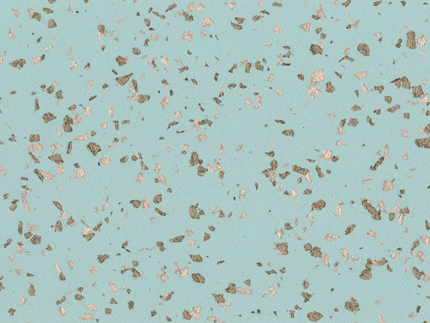 Taralay Premium Compact