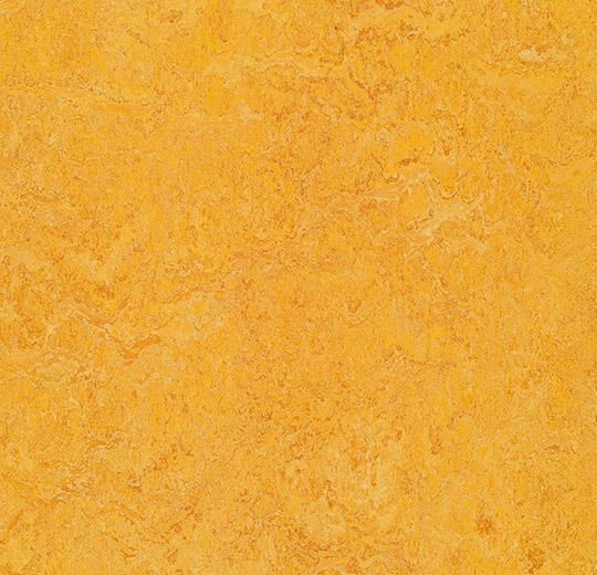 Натуральный линолеум Marmoleum Authentic