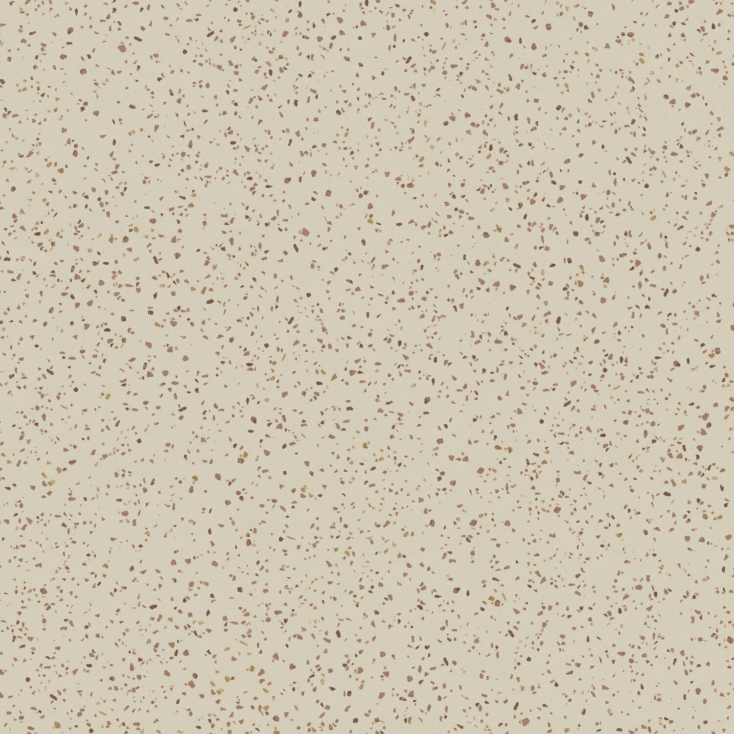 Taralay Initial Compact