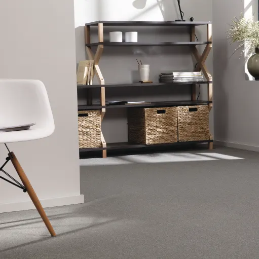 4314_roomset_carpet_scenario_940_grey_1.png 4314_roomset_carpet_scenario_940_grey_1.png