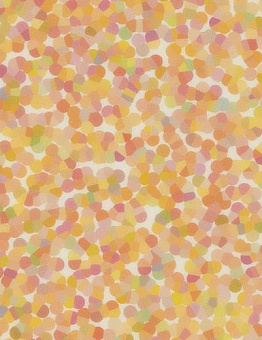 Линолеум Sarlon Graphic и Colour 15db