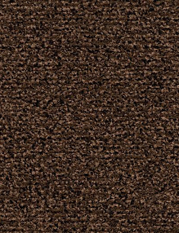 Грязезащитные покрытия Coral Classic